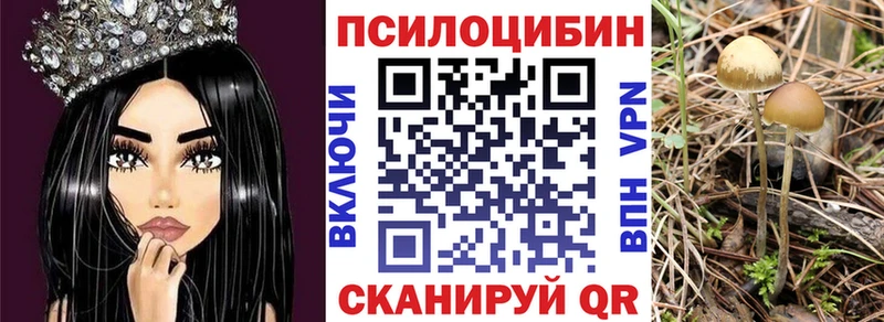 Псилоцибиновые грибы Magic Shrooms Няндома