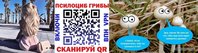 Галлюциногенные грибы мухоморы  KRAKEN как войти  Няндома  хочу наркоту 